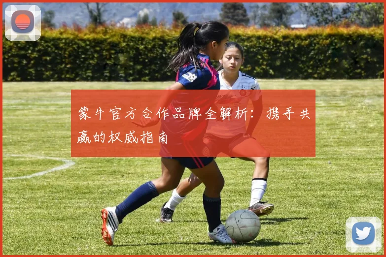 蒙牛官方合作品牌全解析：携手共赢的权威指南