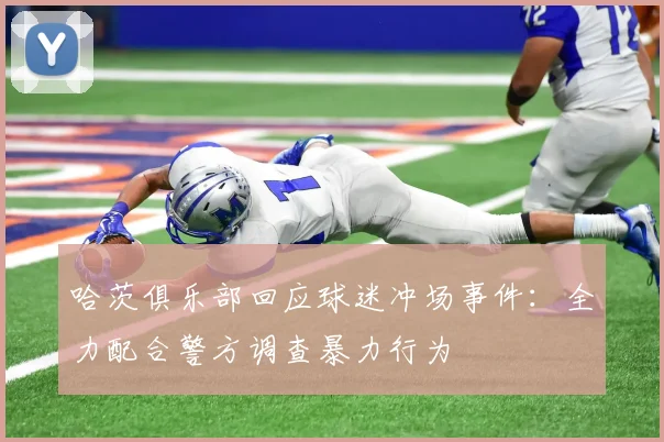哈茨俱乐部回应球迷冲场事件：全力配合警方调查暴力行为